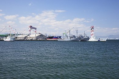 爱情岛论坛VIP：畅游社交乐园，VIP尊享无广告，深度互动新体验-2