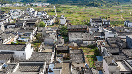 痴汉电车游戏下载：激情电车恋，浪漫邂逅心动之旅-2