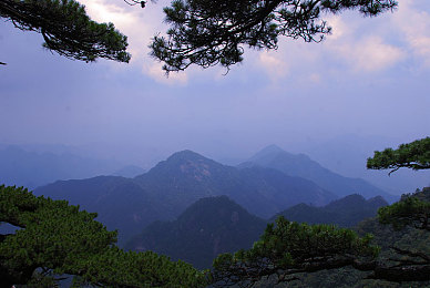 天天干天：时光奋进，激情逐梦：解锁卓越人生之旅