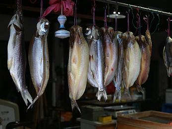 牛奶冰块棉签：夏日清凉新风尚，冰块棉签饮品掀起潮流风-1