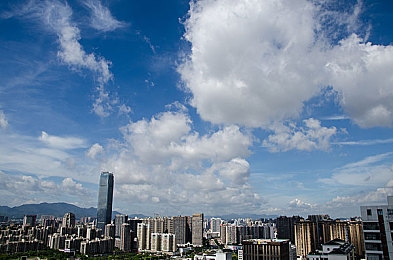 仙踪林corporation大：科技领航，品质卓越，服务至上，行业先锋争霸记-3