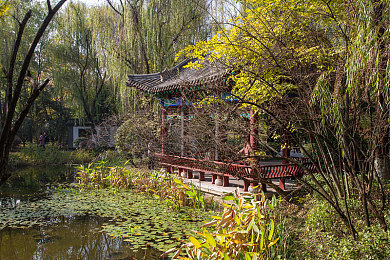 按摩让我三次高潮：按摩巅峰之旅，体验三次高潮疗愈之旅-3