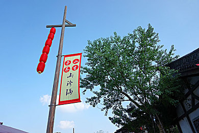 拔萝卜又疼又叫的软件：破解功能盛宴：高效软件精通之旅，从入门到高手的挑战与收获-3