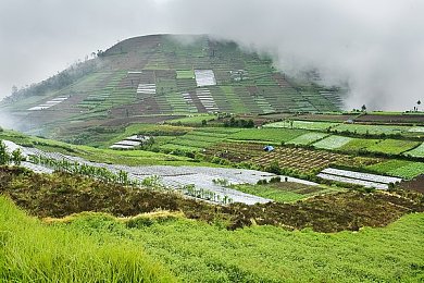 黄颜色软件oppo：隐私疑云笼罩OPPO，行业共担安全挑战-4