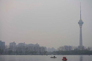 儿子辛勤耕耘母亲的土地：孝子回归农村，用汗水浇灌孝道新篇章-3
