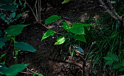 班花在性教育课上当示范：青春启航，班花领航：性教育课堂新篇章-2