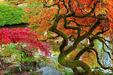 天堂aV在线最新版中文在…：本土风情焕新颜，《天堂新篇》中文盛宴启航，乐享无界游戏新体验-3