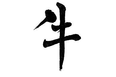 推特91：探索神秘社交海洋，私密专业尽在指尖-2