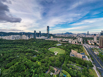 学院时间暂时1—5：解码高效学习密码，五阶段突破学习新境界-3
