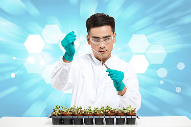 麻豆天美AV：揭秘游戏网站SEO利器，轻松提升流量，游戏网站脱颖而出攻略-1