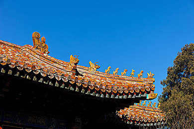 evelynlin对战黑鬼：电竞巅峰对决：技术流女神Evelyn Lin与神秘大师黑鬼展开惊心动魄的生死之战-2