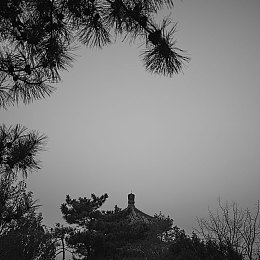 杨贵妃一级婬A片：穿越宫廷，探寻杨贵妃爱情传奇：手游《宫廷秘闻》深度解析-5