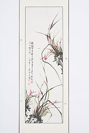 含羞草 成人网站：成人世界探险秘境：《含羞草》游戏深度揭秘，揭开禁忌虚拟世界之谜-2