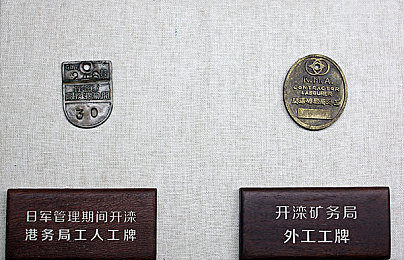 老师的兔子又大又白：校园温馨瞬间：李老师“大白兔”走红，教育力量温暖人心-2