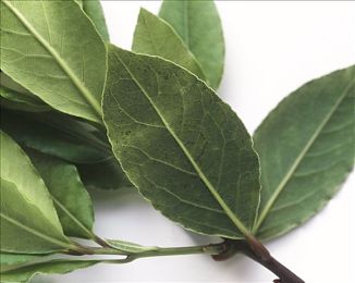 m豆传媒在线观看：数字奇幻盛宴，m豆启航文化新潮流-4