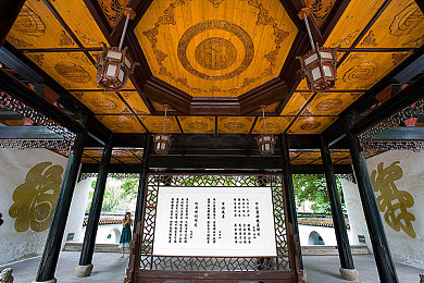 黑土被焯出白水怎么办：黑土危机解密：探寻土壤净化新篇章-4