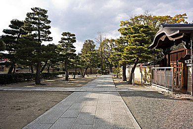 一区二区三区四区日韩：揭秘多区域MMORPG游戏体验差异：一区到日韩特色剖析与攻略指南-4