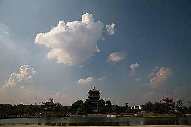 妈妈用手指在狗儿后背写字：温馨指间情，狗儿背书爱意浓-3