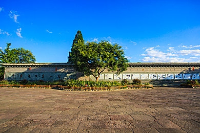 老师的小白兔：“校园温馨互动：流浪兔成小学生课堂小助手，动物保护教育新风尚引热议”-3