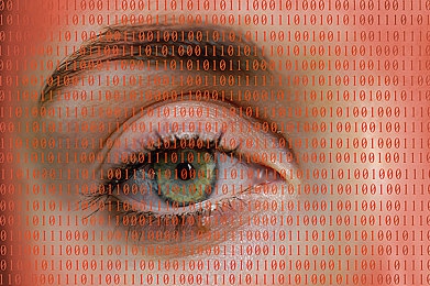 黄色软件免费下载3.0.3每天更新：惊曝！恶意“免费下载”软件引热议，网络安全风险警钟长鸣，用户需提高警惕-3