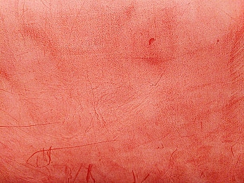 巴西大屁股女BBWBBw：探索异域风情：丰满冒险家BBWBBw带你畅游奇幻游戏世界-3