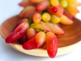 100个禁用软件：揭秘网络阴影：揭秘那些被禁用软件背后的秘密与危害-5