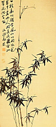 李梓熙与香港摄影师合作内容：李梓熙携手香港摄影师，跨界创作，中港文化交流再掀高潮-5