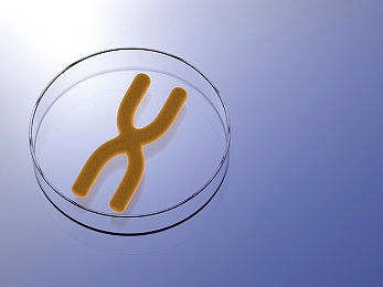 成全动漫视频完整版免费观看在线：畅享动漫盛宴，免费观看经典新番-5