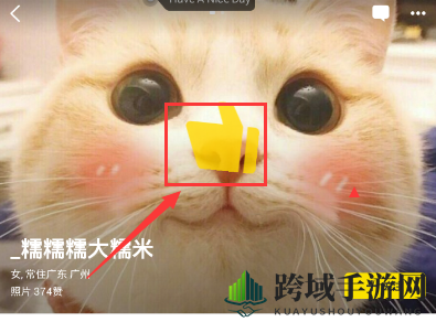 《nice》点赞头像的方法介绍
