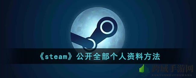 深度揭秘：轻松公开蒸汽个人资料，展现个性风采