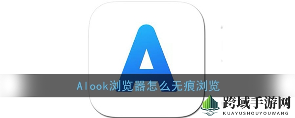 《Alook浏览器》无痕浏览开启方法