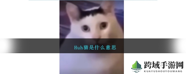 Huh猫是什么意思