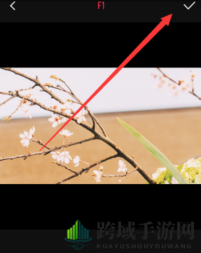 《VUE》如何嵌入照片？嵌入照片操作步骤