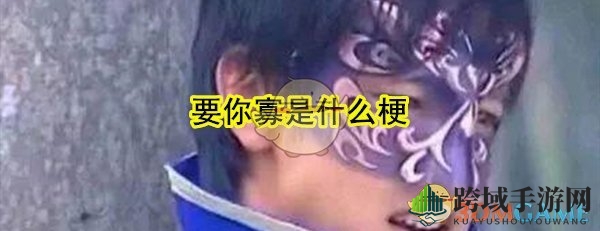 要你寡什么梗