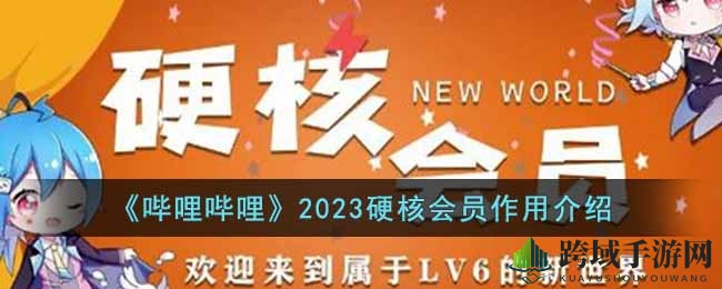 揭秘B站2023硬核会员：尊贵徽章、弹幕独享，畅享特权体验