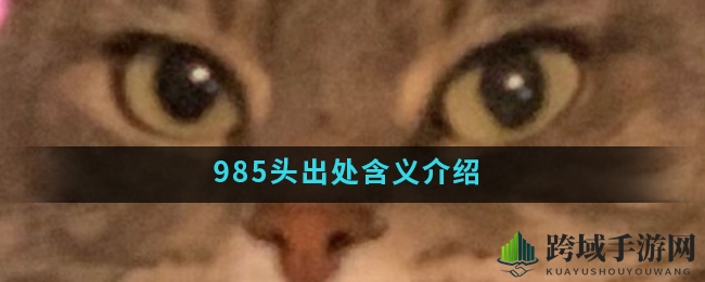 深度解析‘985头’的奥秘