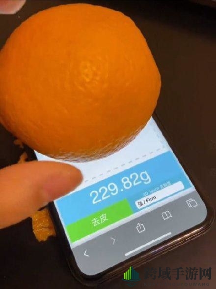 touchscale使用手机介绍