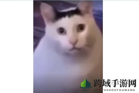 Huh猫是什么意思