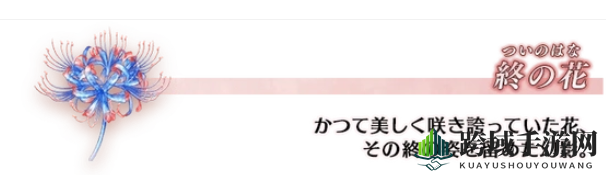 FGO奏章2揭秘：神秘素材掉落路径大揭秘
