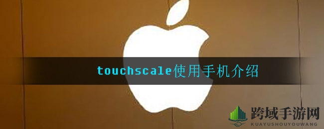 touchscale使用手机介绍