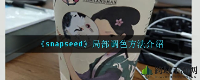 Snapseed局部调色攻略：照片个性化调色技巧大揭秘