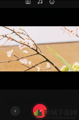 《VUE》如何嵌入照片？嵌入照片操作步骤
