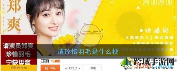 粉丝心声：为何呼吁郑爽“珍惜羽毛”？揭秘背后的原因与担忧
