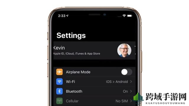 iOS14相关介绍