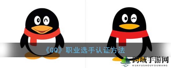 QQ电竞风采：揭秘职业选手认证，专属荣耀标签等你来战
