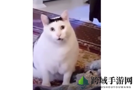 Huh猫是什么意思