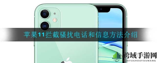 苹果11用户必看！轻松拦截骚扰电话和信息攻略大揭秘