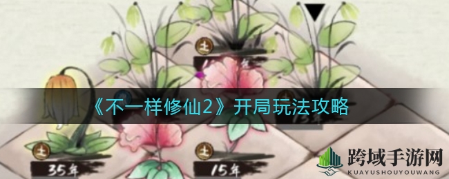 揭秘《不一样修仙2》：新手必看八大秘籍，轻松起飞！