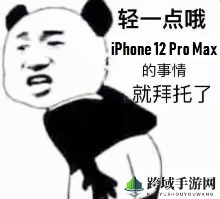 iPhone 12的事情就拜托了表情包