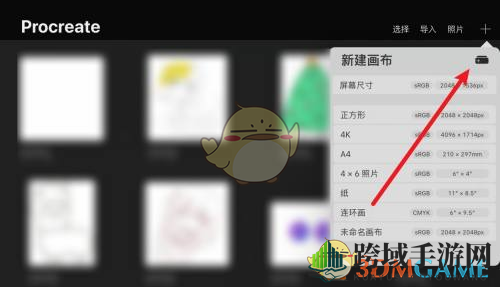 《procreate》图层数量限制解决办法